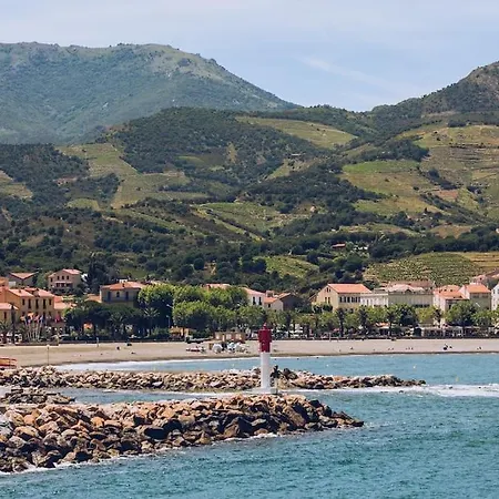 Regina's - 2 Terraces, Pool And Private Parking Banyuls-sur-Mer