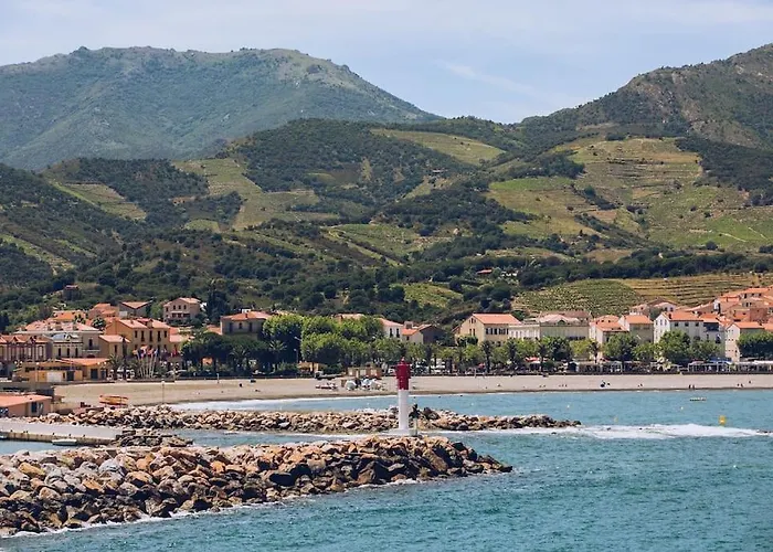 Regina's - 2 Terraces, Pool And Private Parking Banyuls-sur-Mer